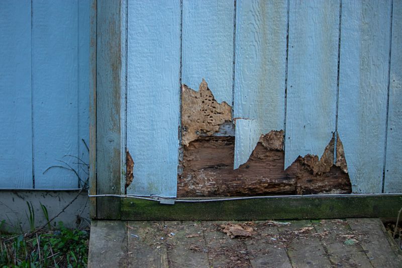 Summer Siding Repair